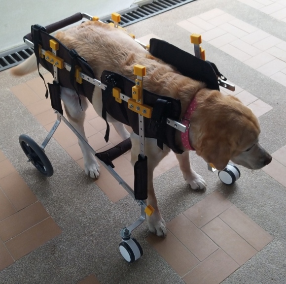 SILLA DE RUEDAS INTERAL EXTRA GRANDE 60 KG - Imagen 2