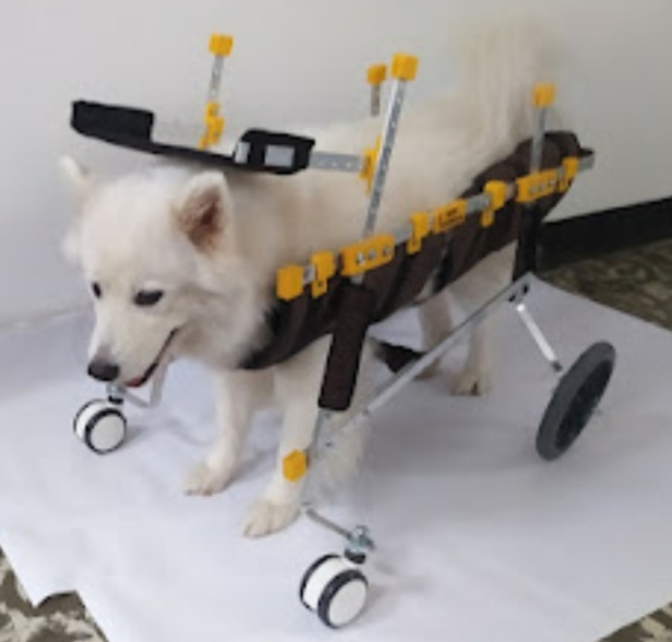 SILLA DE RUEDAS INTERAL EXTRA GRANDE 60 KG - Imagen 3