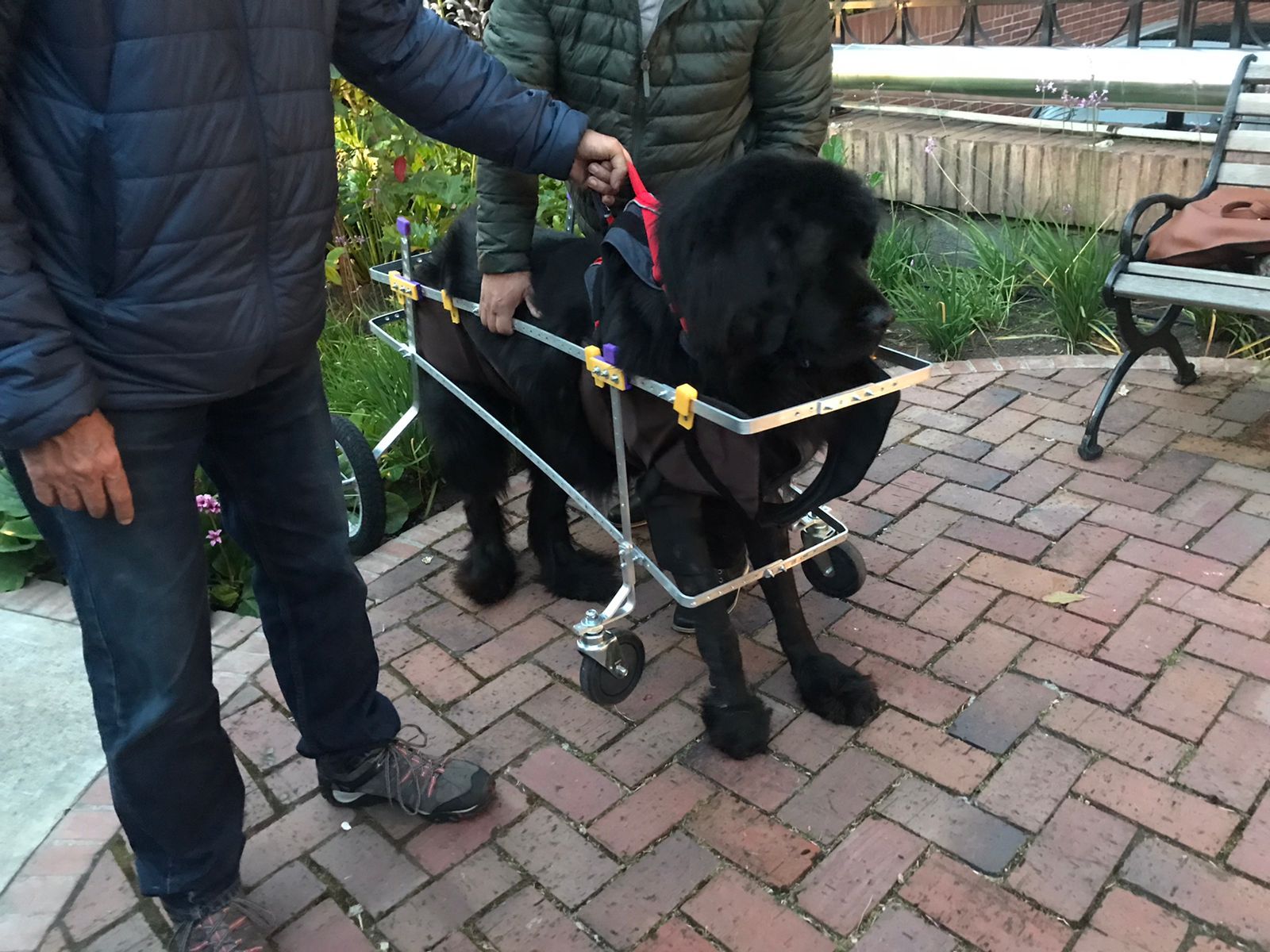 SILLA DE RUEDAS INTERAL EXTRA GRANDE 60 KG