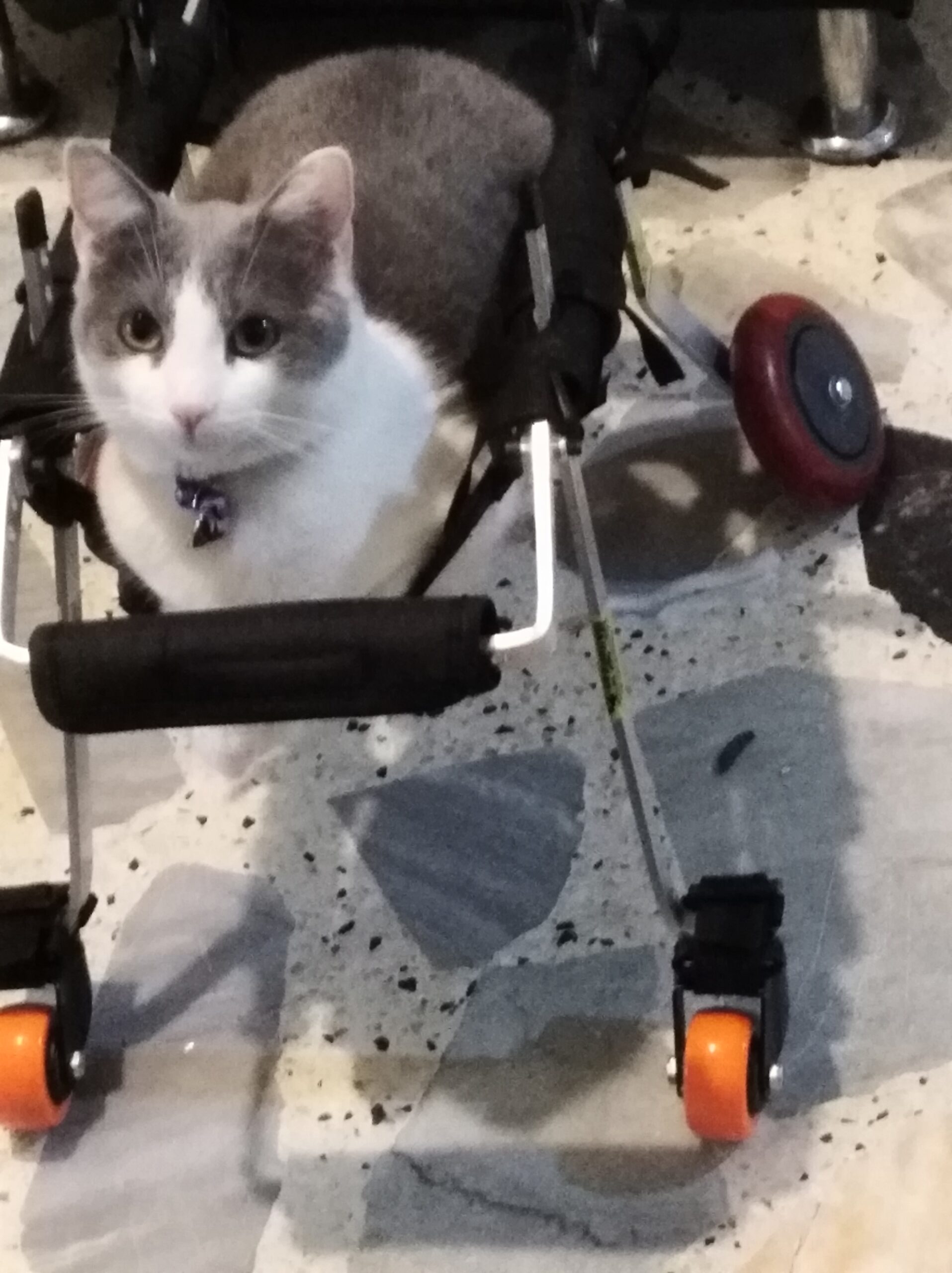 SILLA DE RUEDAS INTEGRAL PEQUEÑA 12 KG - Imagen 2
