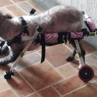 SILLA DE RUEDAS INTEGRAL PEQUEÑA 12 KG