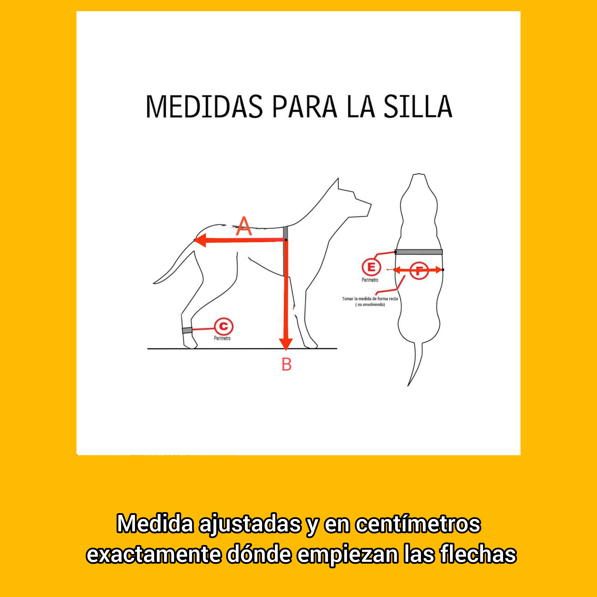 SILLA DE RUEDAS RAZAS EXTRA GRANDES 60KG - Imagen 2