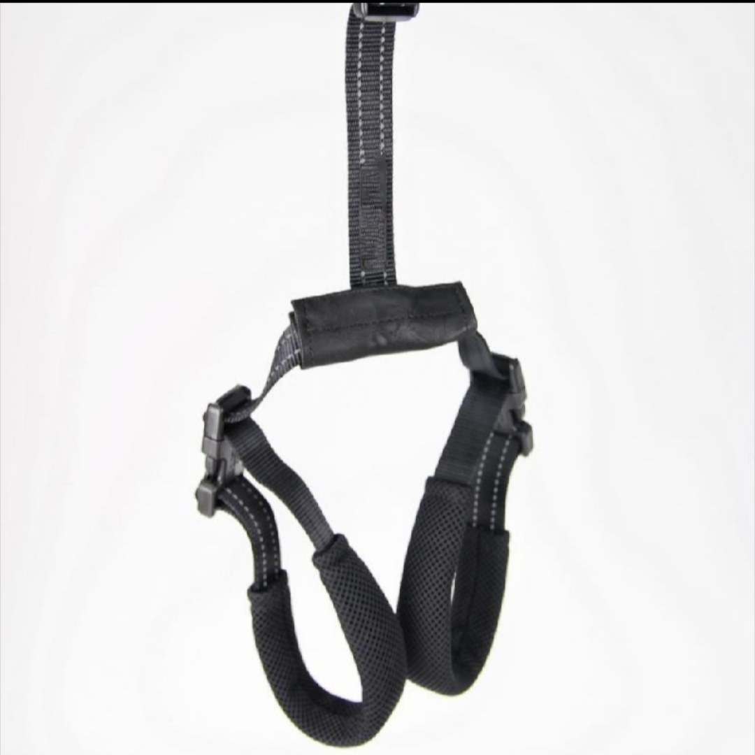ARNES DE APOYO POSTERIOR - Imagen 3