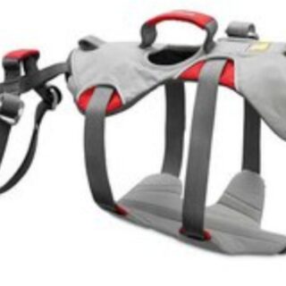 DOUBLE BACK HARNESS