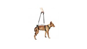 arnes de soporte integral max mediano