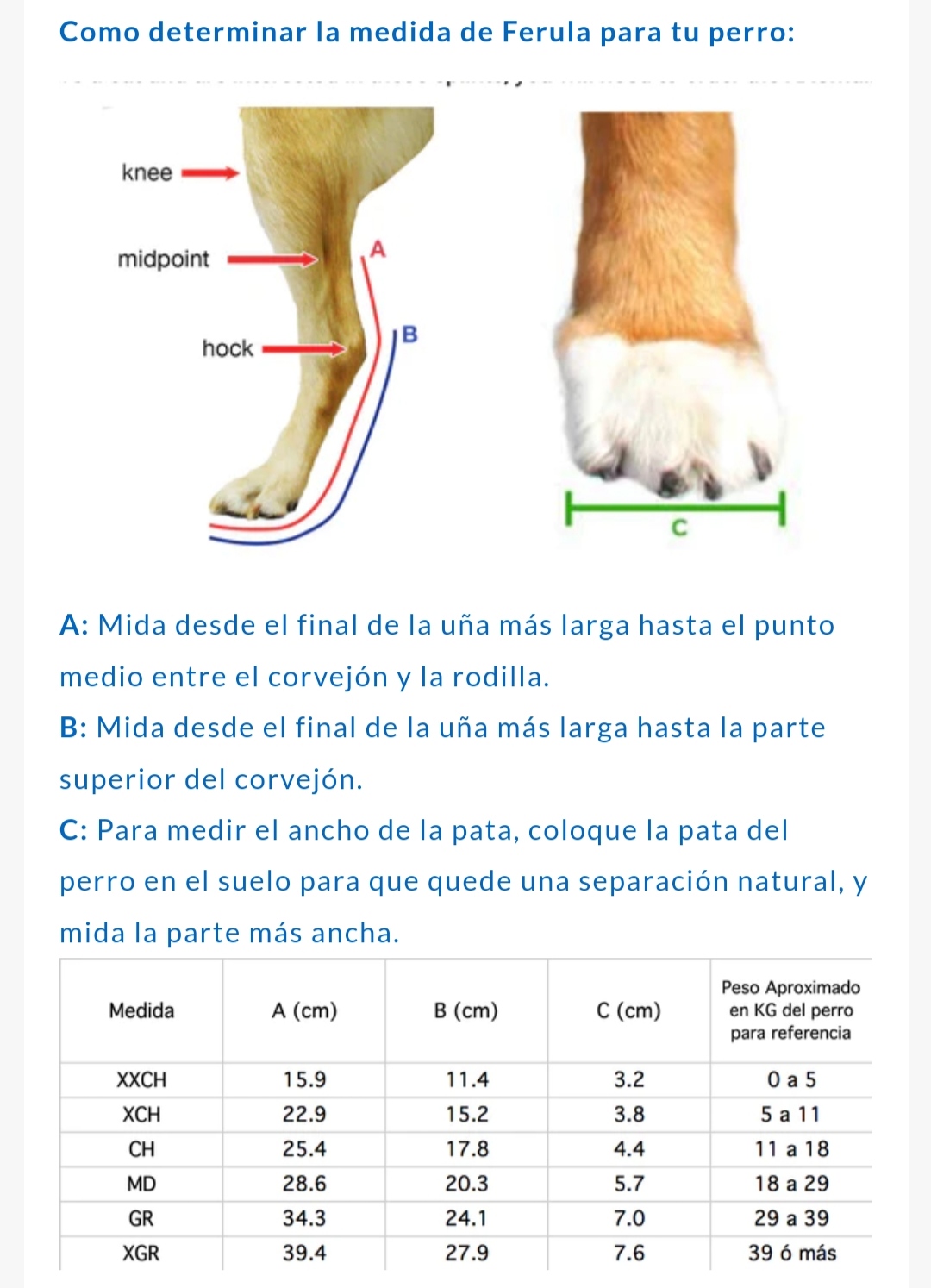 CORRECTOR PROPIOCEPCIÓN CON BOTA - Imagen 2